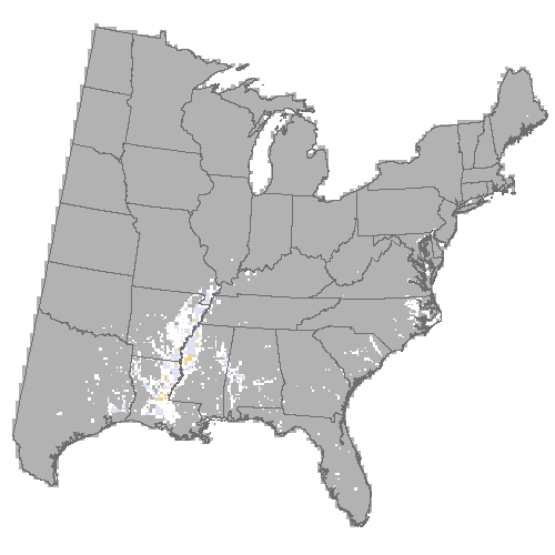 Difference Summary for water hickory under Community Climate System Model 4.0 (CCSM4), Moderate emissions (RCP 8.5)