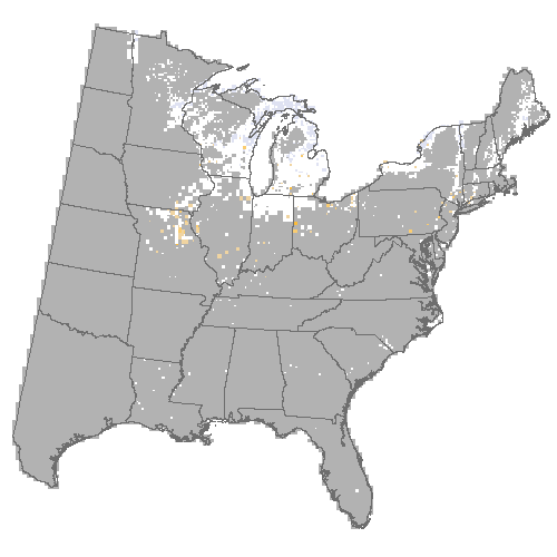 Difference Summary for swamp white oak under Community Climate System Model 4.0 (CCSM4), Moderate emissions (RCP 8.5)
