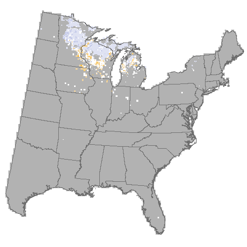 Difference Summary for northern pin oak under Community Climate System Model 4.0 (CCSM4), Moderate emissions (RCP 4.5)
