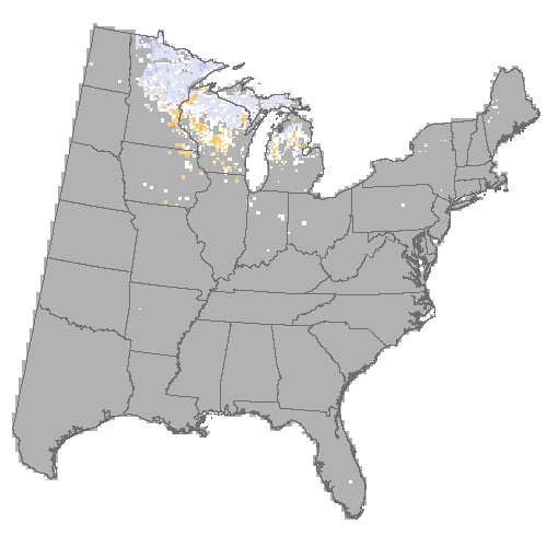 Difference Summary for northern pin oak under Average of 3 GCM, Moderate emissions (RCP 8.5)