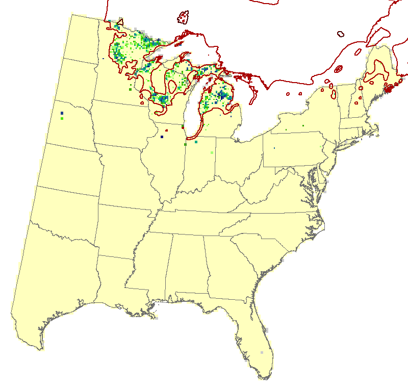 Current Forest Inventory and Analysis under Current Conditions
