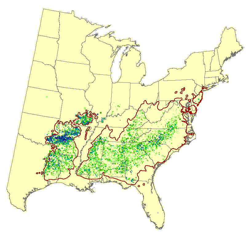 Current Forest Inventory and Analysis under Current Conditions