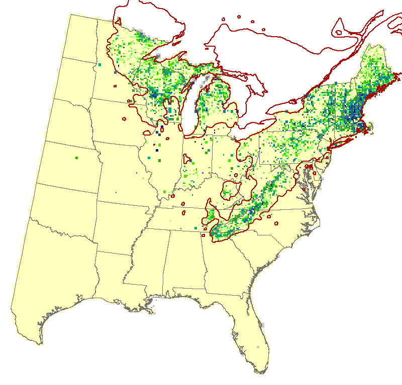 Current Forest Inventory and Analysis under Current Conditions