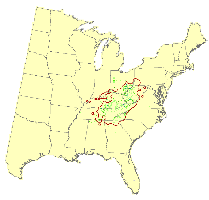 Current Forest Inventory and Analysis under Current Conditions