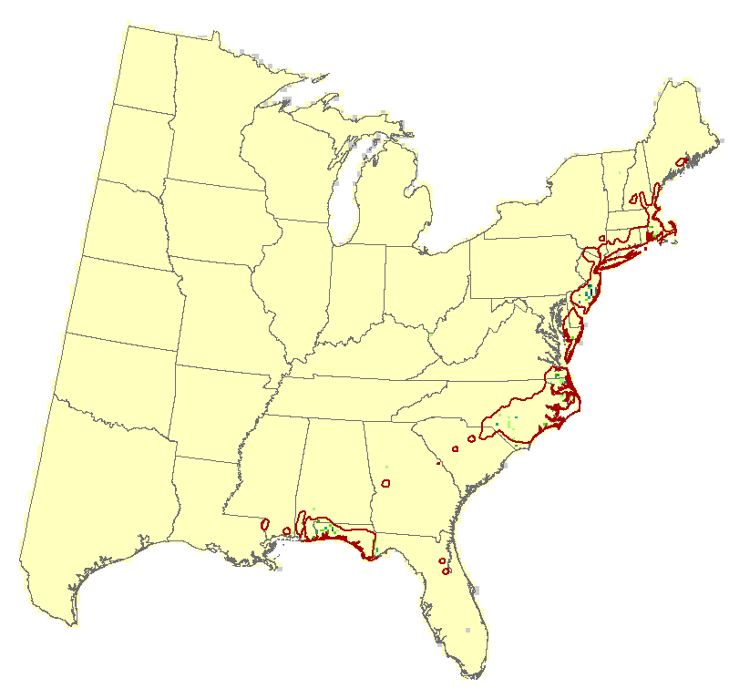 Current Forest Inventory and Analysis under Current Conditions