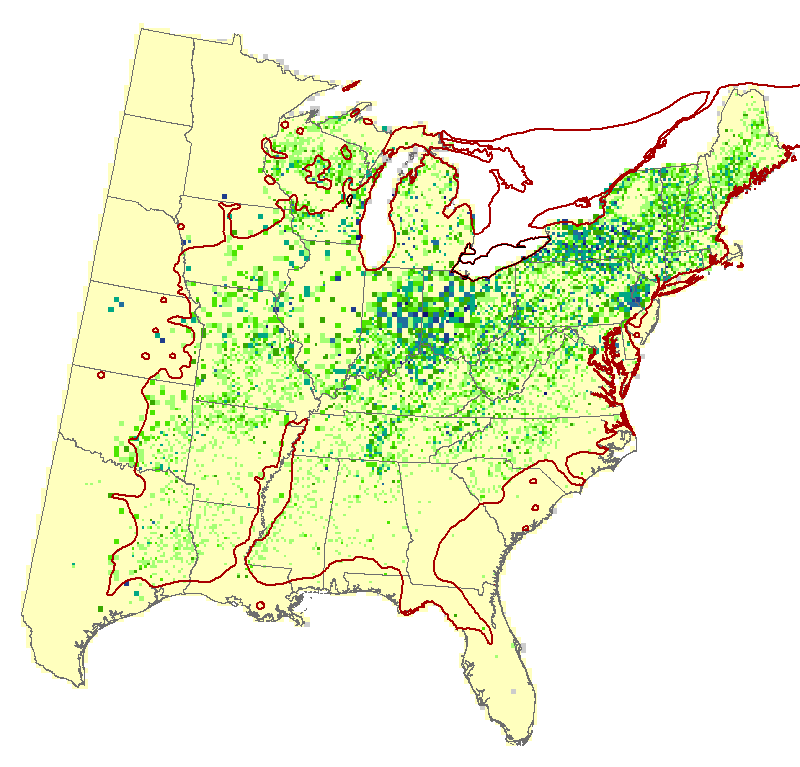 Current Forest Inventory and Analysis under Current Conditions