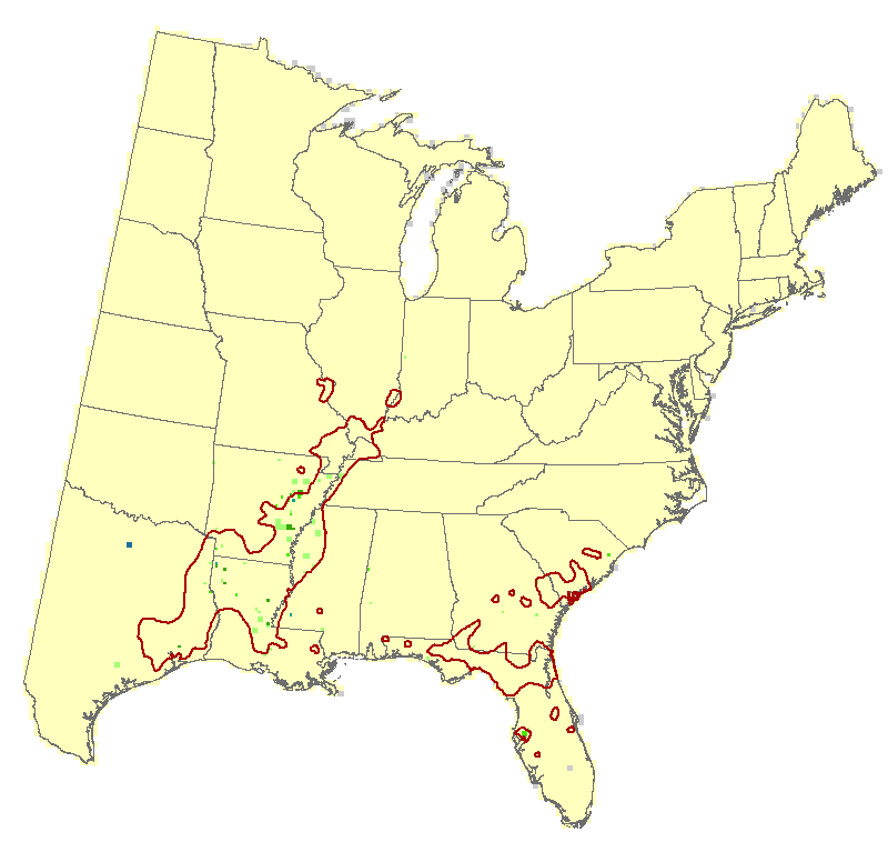 Current Forest Inventory and Analysis under Current Conditions