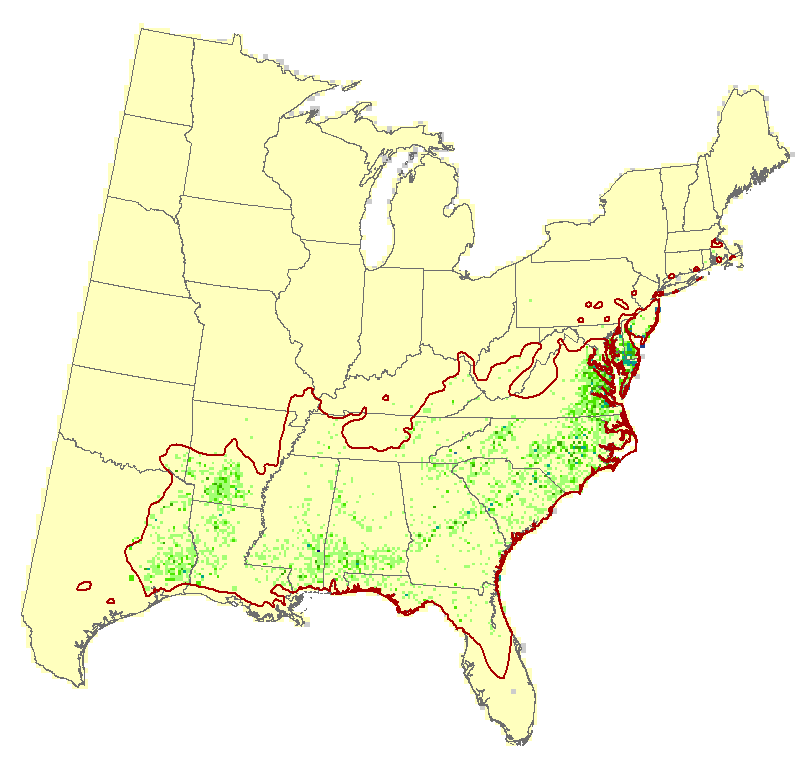 Current Forest Inventory and Analysis under Current Conditions