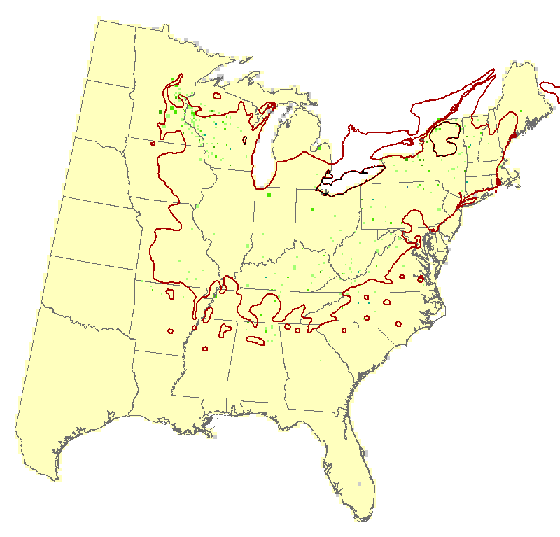 Current Forest Inventory and Analysis under Current Conditions