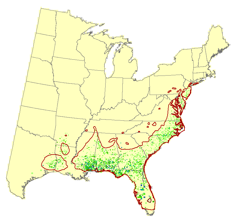 Current Forest Inventory and Analysis under Current Conditions