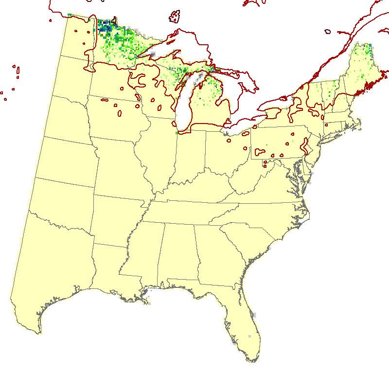 Current Forest Inventory and Analysis under Current Conditions