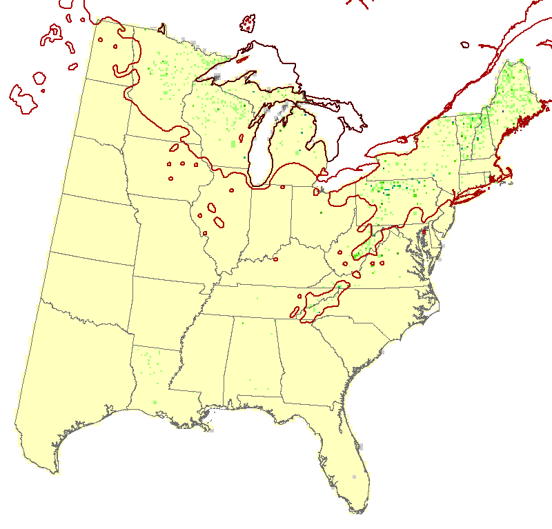 Current Forest Inventory and Analysis under Current Conditions