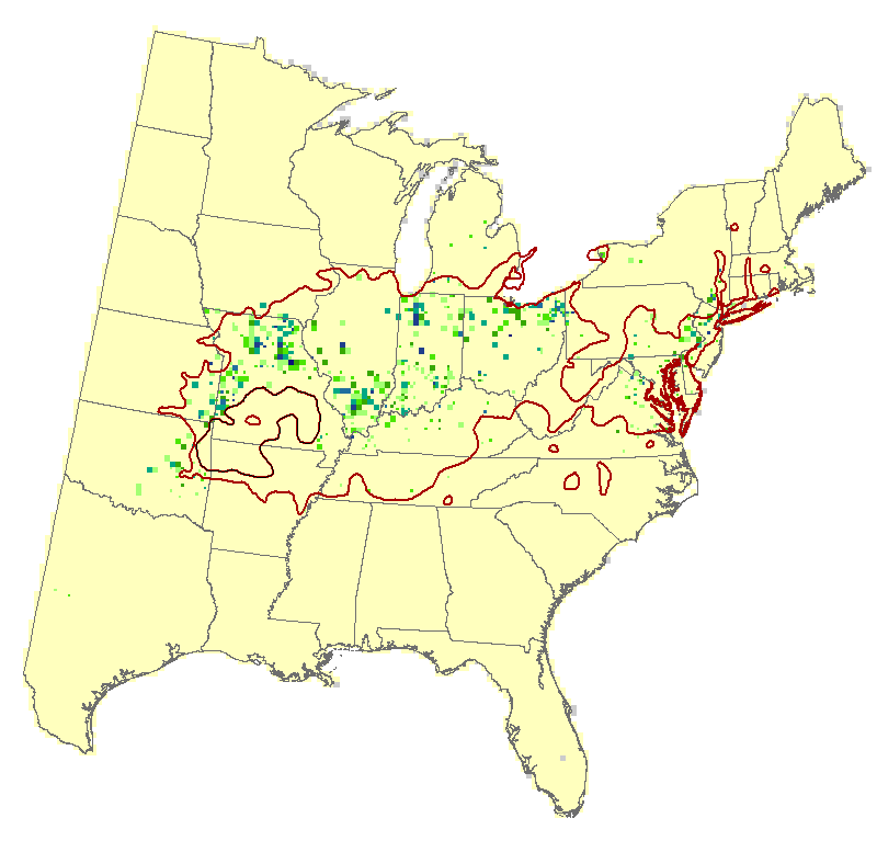 Current Forest Inventory and Analysis under Current Conditions