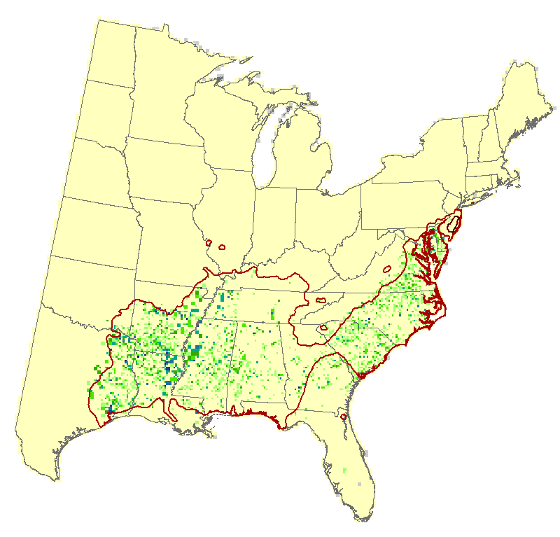 Current Forest Inventory and Analysis under Current Conditions