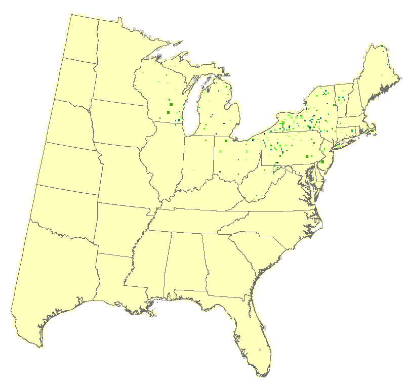 Current Forest Inventory and Analysis under Current Conditions