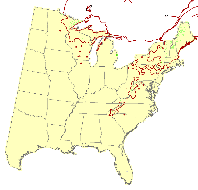 Current Forest Inventory and Analysis under Current Conditions