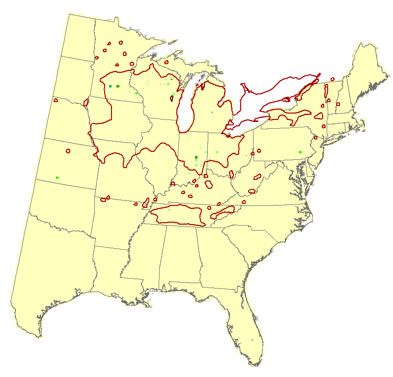Current Forest Inventory and Analysis under Current Conditions