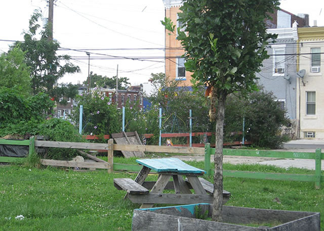 Photo of a vacant lot in Philadelphia. Photo by Amber Knee, Pennsylvania Horticultural Society 