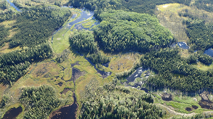 Interior Alaska Landscape taken from a helicopter transporting FIA field crews to remote inventory plots. Photo by Pacific Northwest Research Station, USDA Forest Service