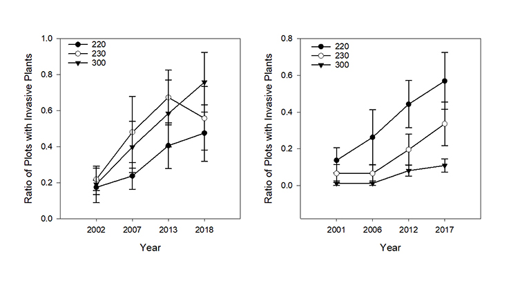Change over time in the ratio of plots with invasive plant species by land type for clear-cut and mature forests.  Note how the driest land type (300) has switched places with the moderately mesic land type in the last five years for the clear cuts, whereas this same land type is the least invaded of the mature forests. Image by Cynthia D. Huebner, USDA Forest Service