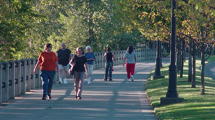 Green walk: Careful plant selection, with attention to sense of place, creates appealing outdoor activity spaces.