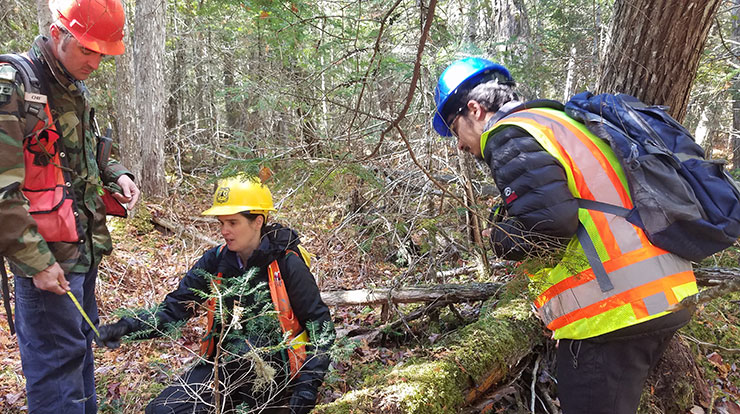 Forest Service and university researchers used data collected in the forest to determine carbon stored in living trees, dead wood, and forest products. Photo taken at the Penobscot Experimental Forest, Maine, 2018.