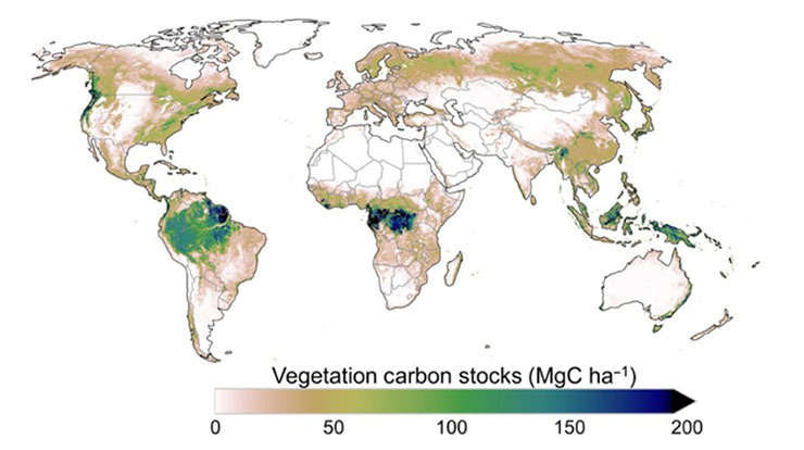 Fig1 from Xu et al.