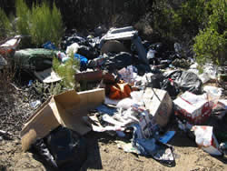 [Photo: Garbage dumped on national forest land.]
