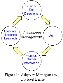 Cycle of Continuous Management of Forest Service Lands with a circle that says Plan & Set Directions that points to a circle that says Act which points to a circle that says Monitor: Gather Information which points to a circle that says Evaluate (Lessons Learned) which points back to the first circle