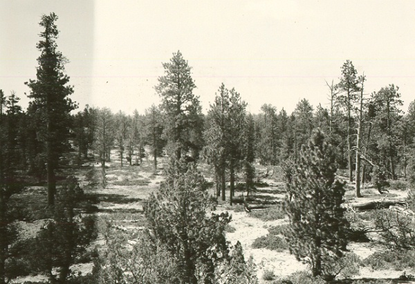 Control area, view to S/SW 