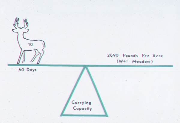 Carrying capacity concept for wet meadows