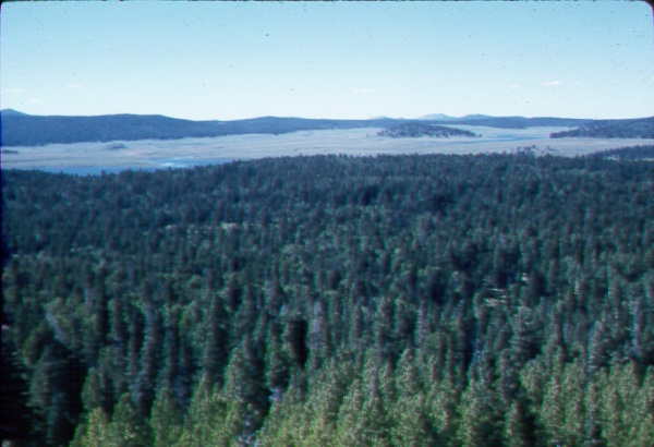 Crescent and Big lakes as seen from Big Lake Lookout
