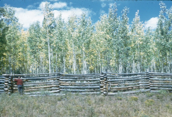 Grindstone range study plots