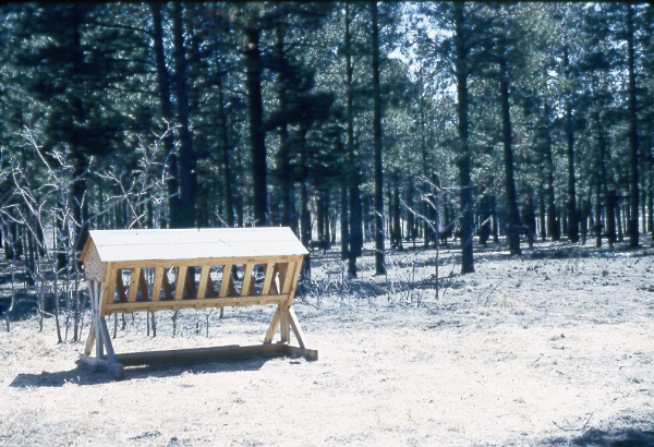 Feeding stall for deer within an enclosure