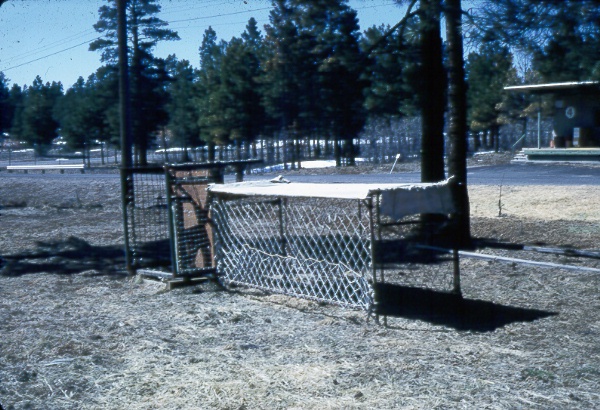 Deer trap used to capture deer for transfer