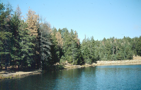 Infection along the lakeside