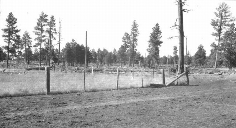 Fry park plot on edge of open mountain park