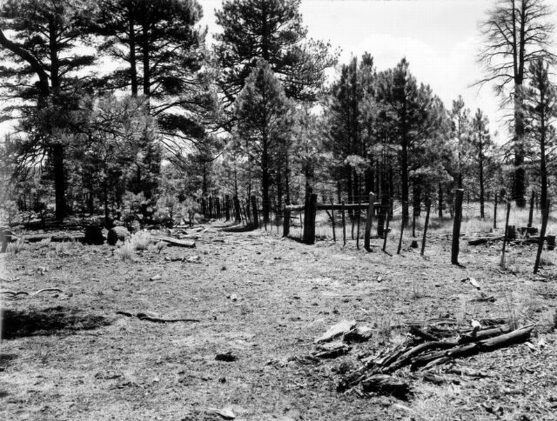 Fry park plot, repeat photo
