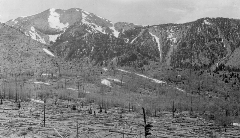 Inner Basin