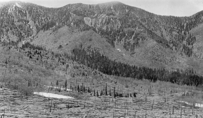 Inner Basin