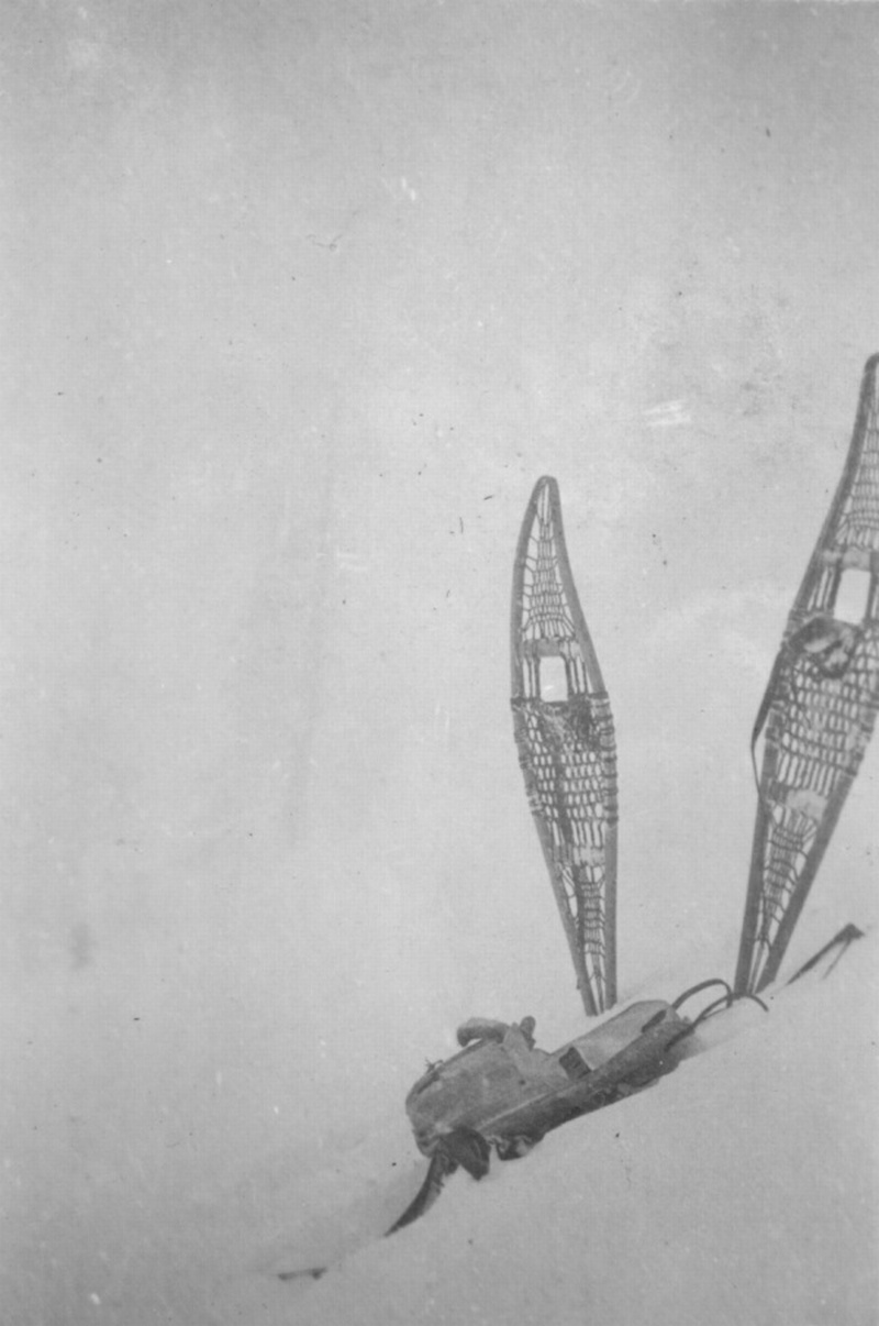 Snow shoes