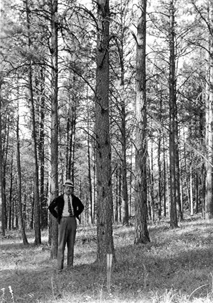 Sample plot 23(?6, Black Hills 1935-36 