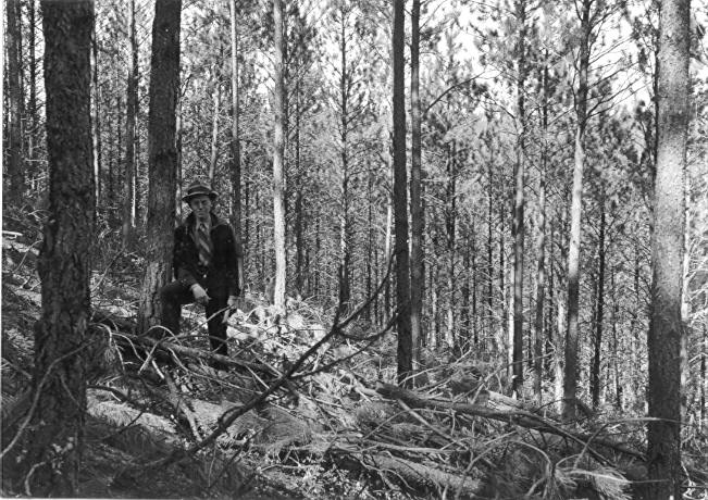Sample plot 14, Black Hills 1935-36 