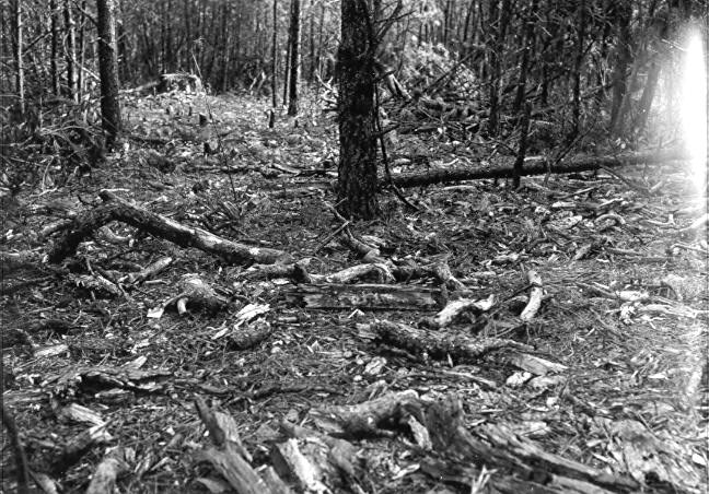 Slash plot O'Conner #2