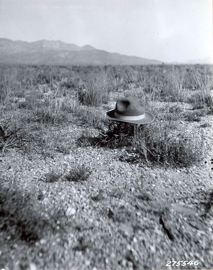 Spiny plants are a characteristic of the southern desert type.