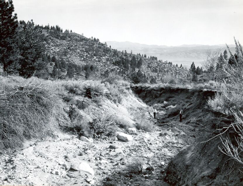 Vicee Creek near head, loking downstream.