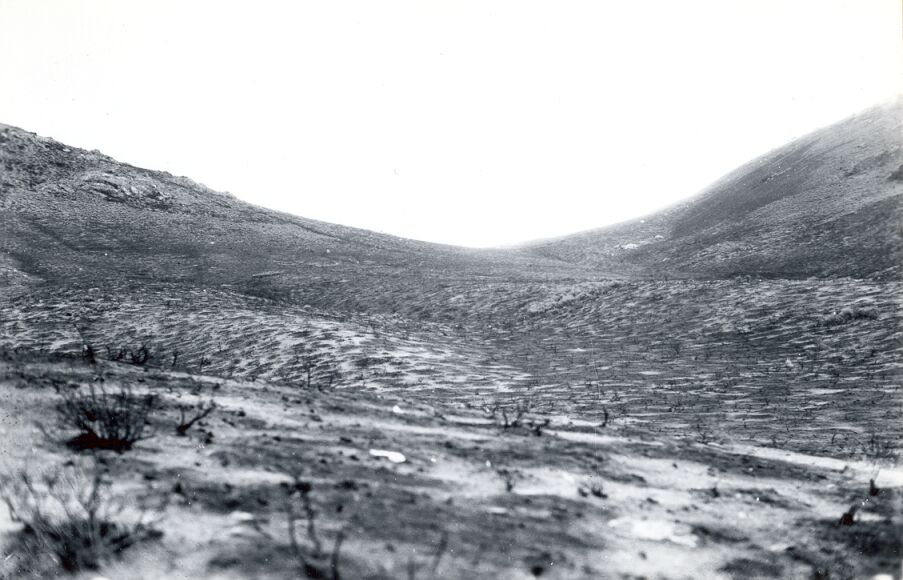Pearl Creek burn of 1939, Humboldt Naitonal Forets. This area should be reseeded to grasses to prevent sage and cheat grass from taking possesion.