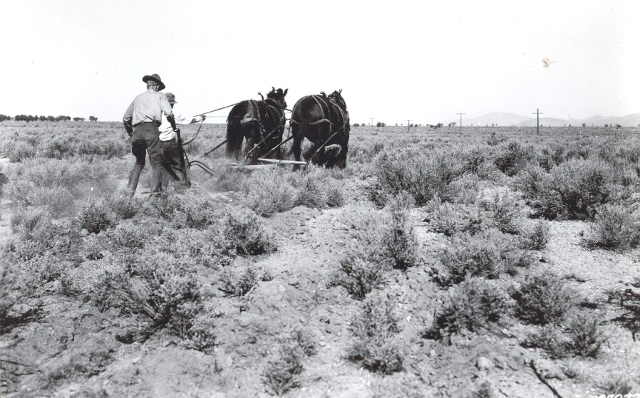 Plowing furrows 3 feet apart in study of methods of planting grasses in depleted sagebrush range.