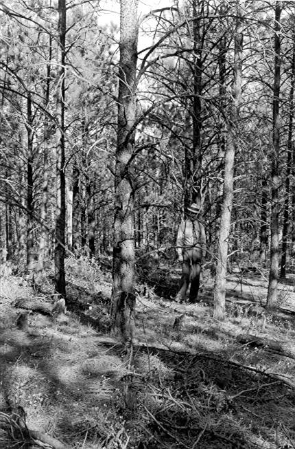 Plot 21