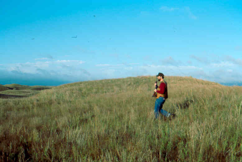 Usda Forest Service Research Data Archive